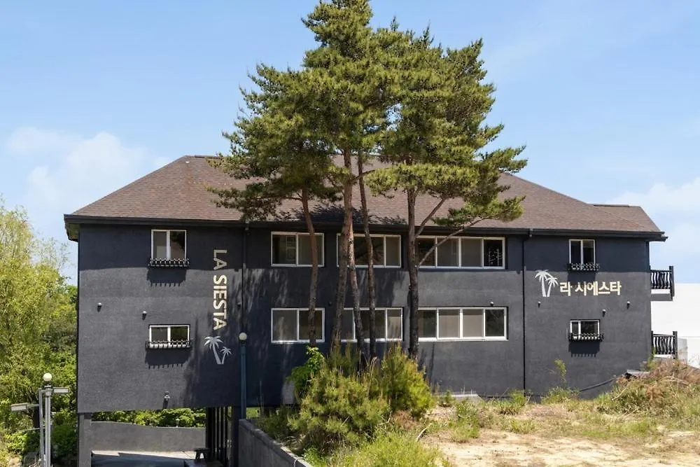 Gyeongju La Siesta Private Bbq, Disney&Netflix